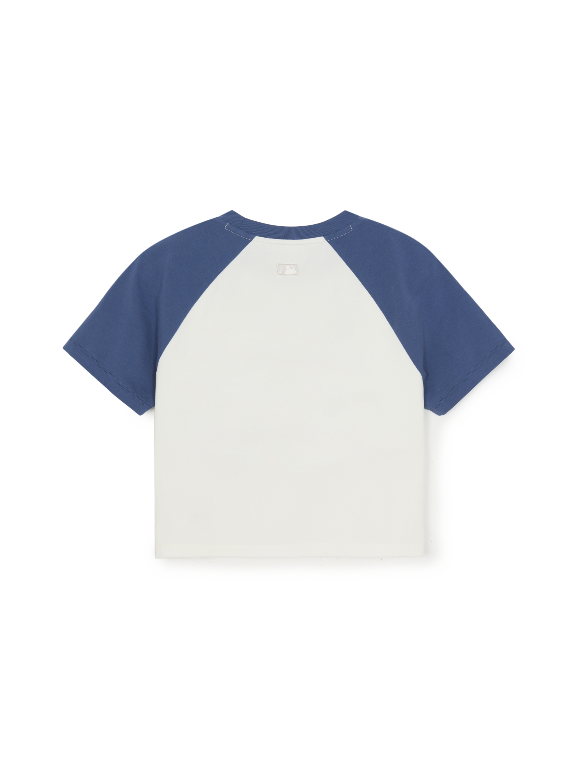 Women's Vintage Color Block Crop T-Shirt