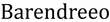 Barendreeo
